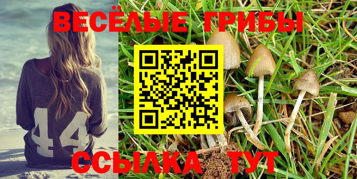 Псилоцибиновые грибы Magic Shrooms Москва